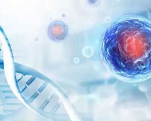 2025湖北武汉哪里可以做试管婴儿?3万能够成功吗?